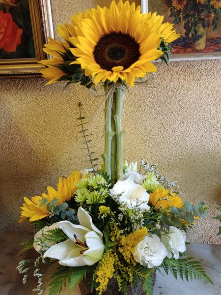 Girasol